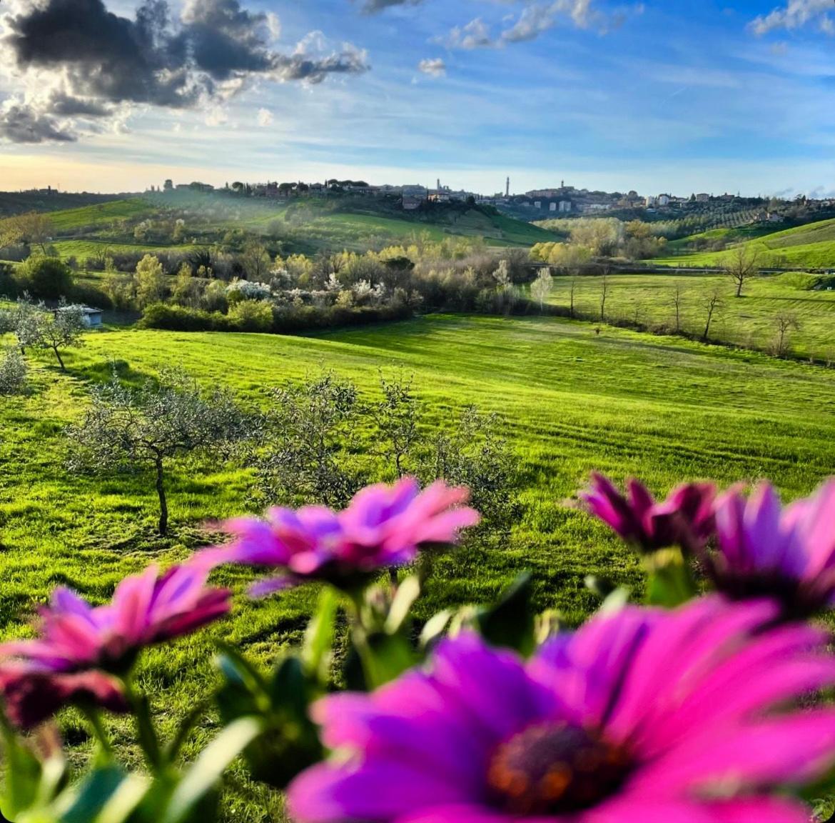 Agriturismo La Corte Del Sole Siena Exterior photo