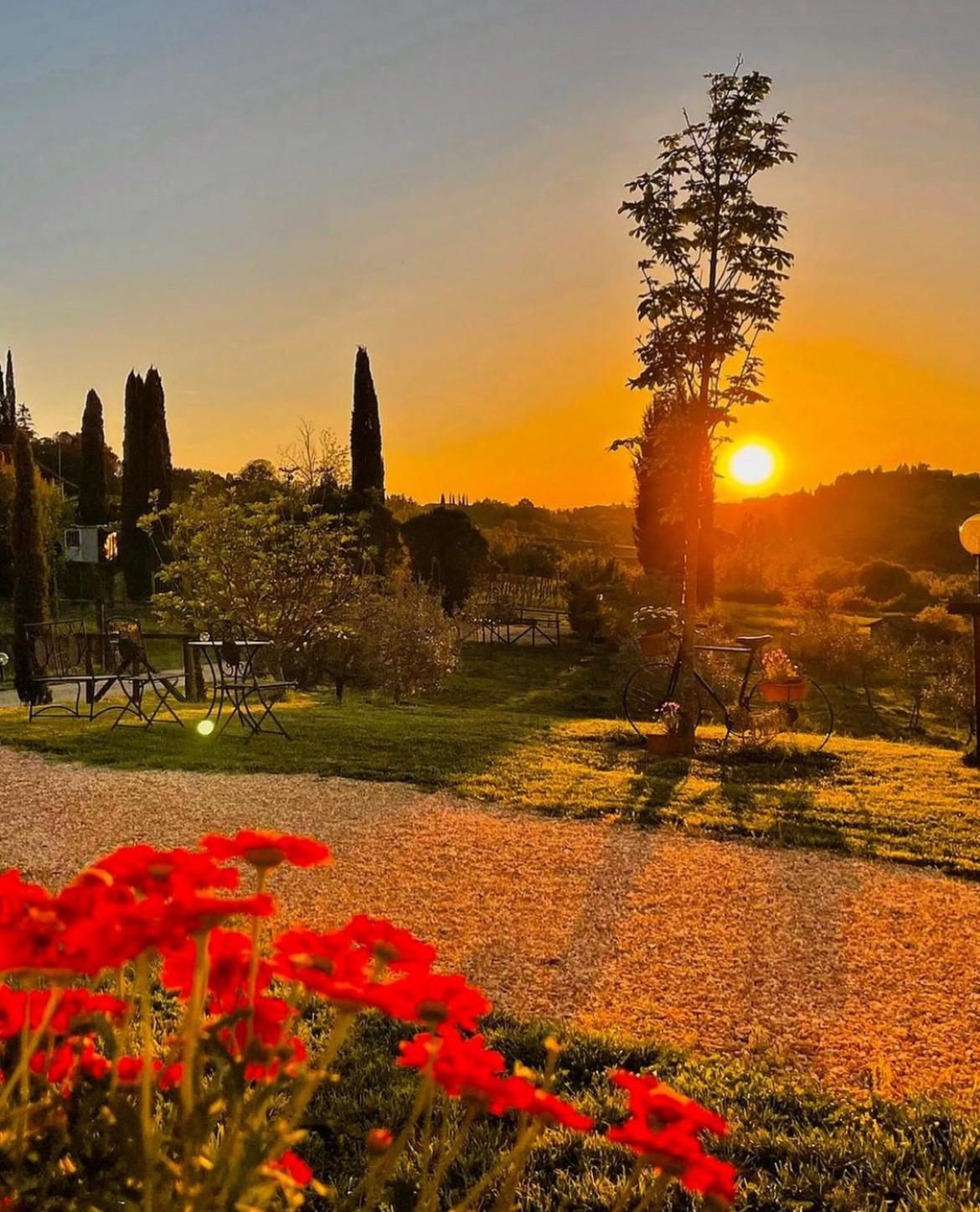 Agriturismo La Corte Del Sole Siena Exterior photo