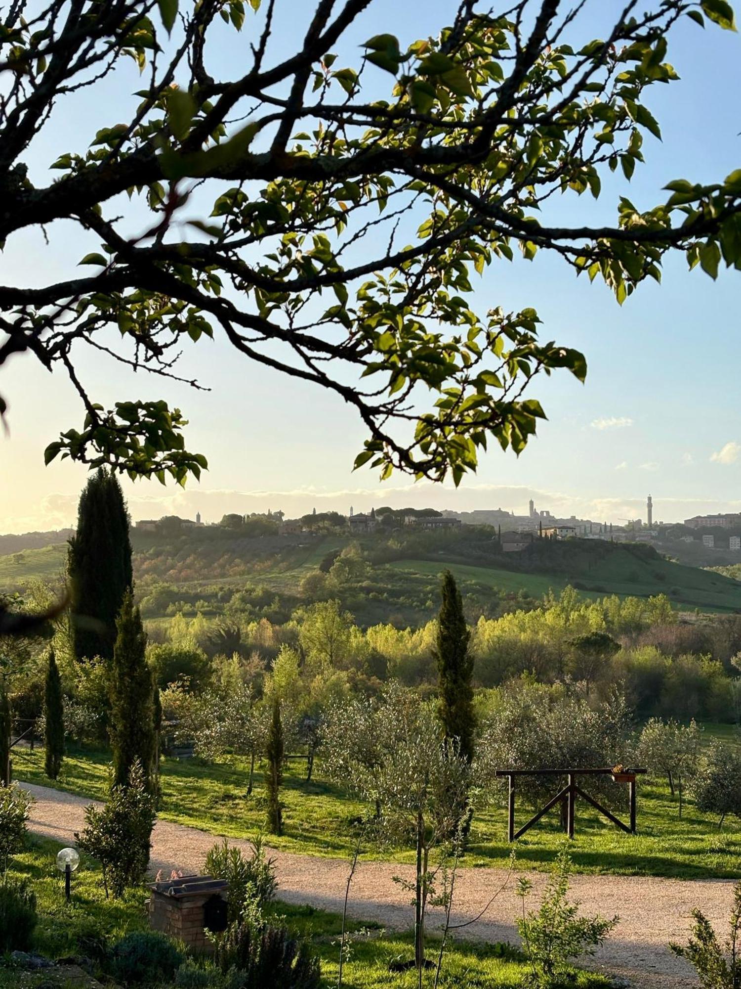 Agriturismo La Corte Del Sole Siena Exterior photo